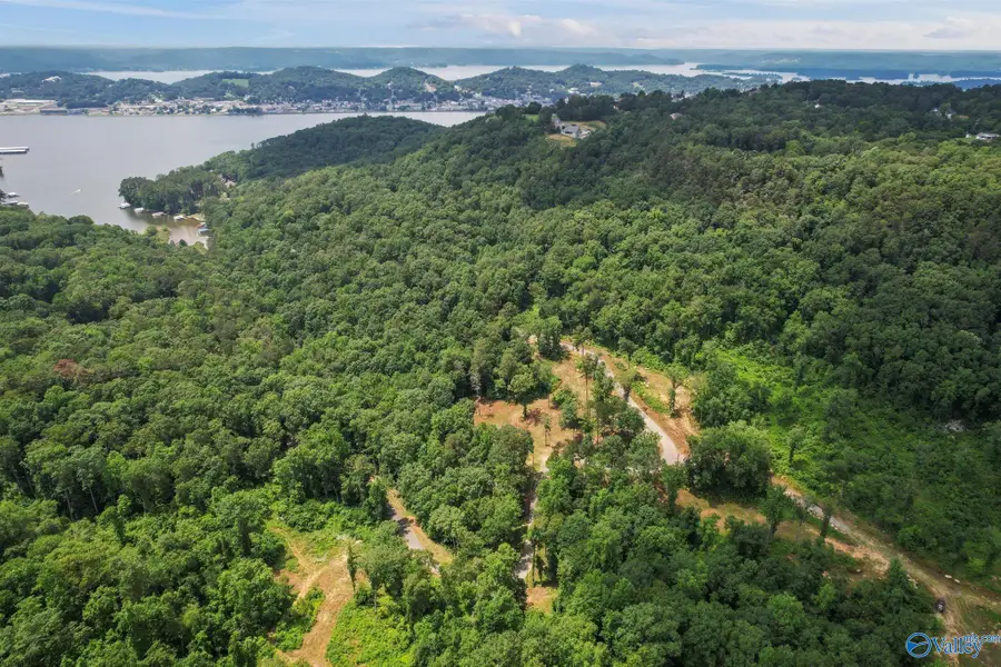 Lot 9 Wyeth Drive, Guntersville, AL 35976 - Image #3