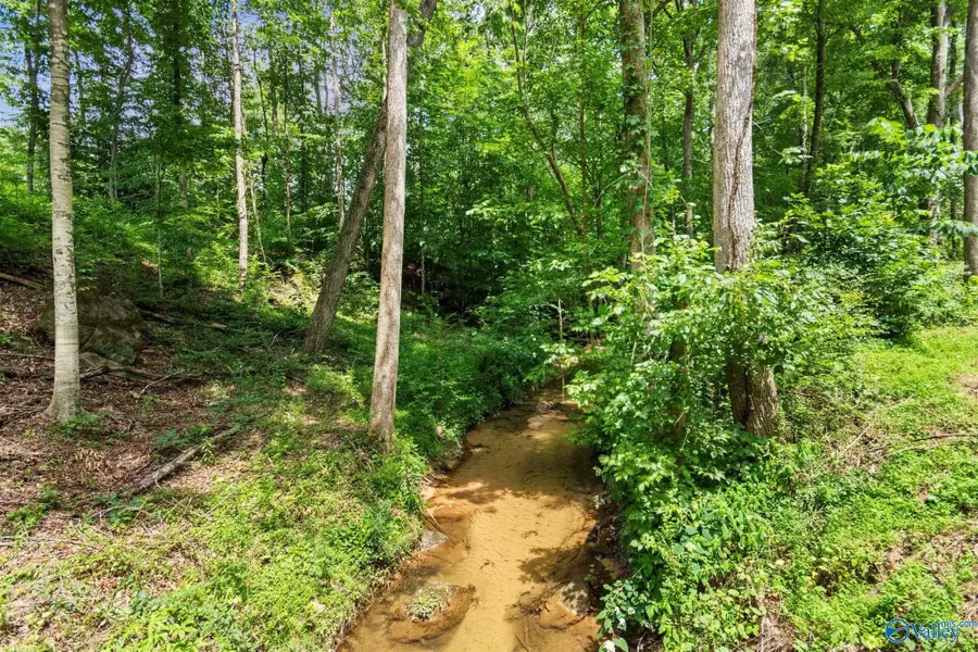 Lot 10 & 11 Wyeth Drive, Guntersville, AL 35976 - Image #2