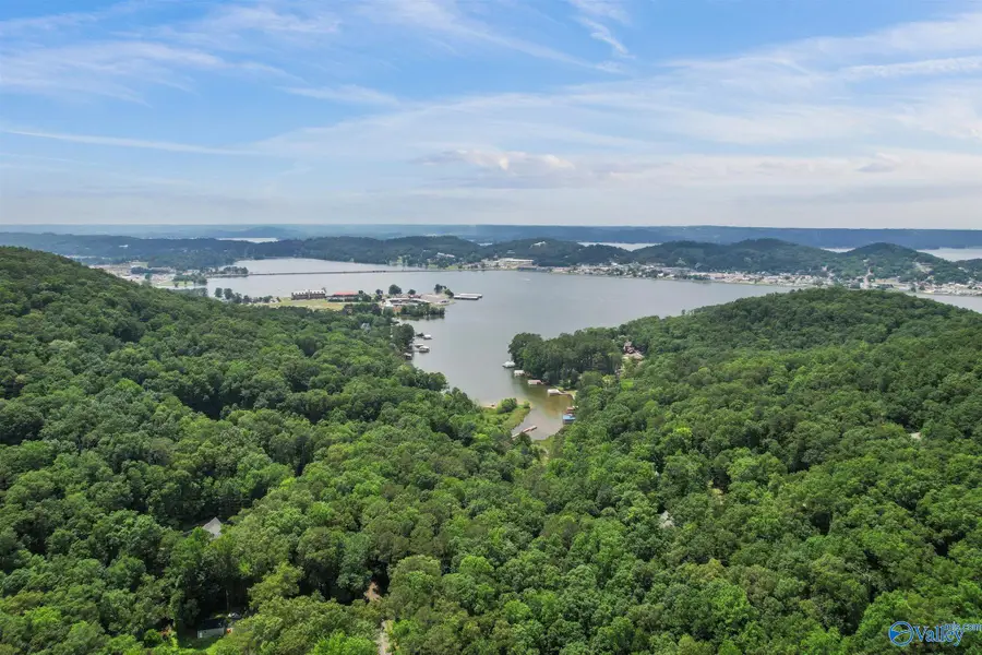 Lot 10 & 11 Wyeth Drive, Guntersville, AL 35976 - Image #3