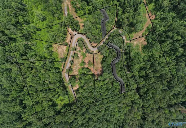 Lot 12 Wyeth Drive, Guntersville, AL 35976