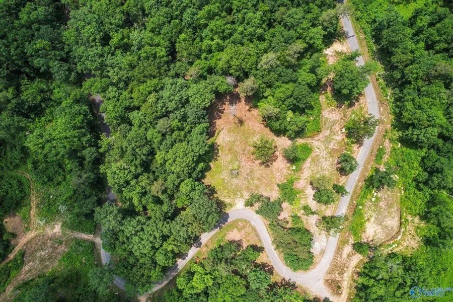 Lot 12 Wyeth Drive, Guntersville, AL 35976 - Image #2