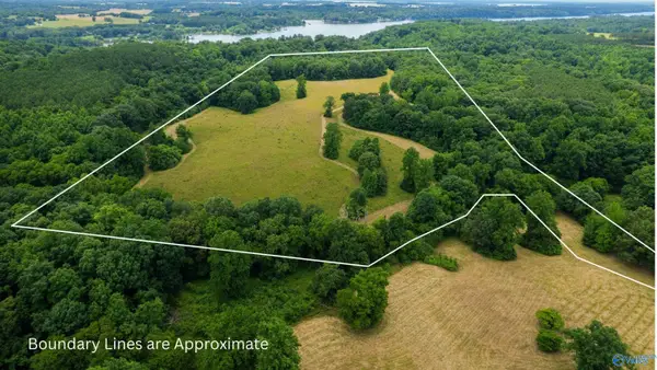 41 Acres Richter Road, Rogersville, AL 35652