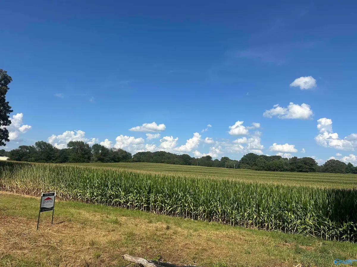 14.3 acres Tillman Mill Road, Athens, AL 35614 - Image #1