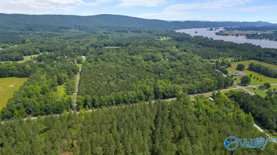 12.2 Riddles Bend Road, Rainbow City, AL 35906 - Image #3