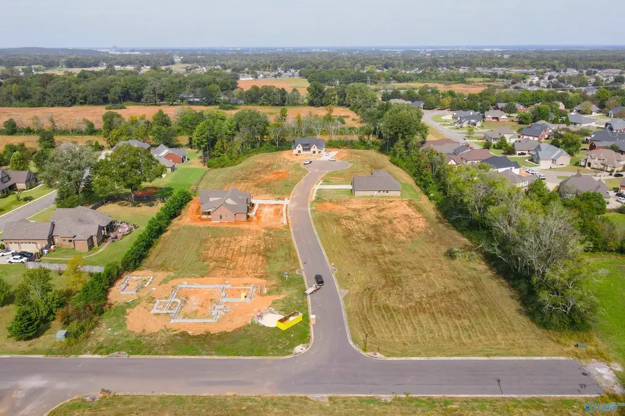 Lot 7 Newcastle Lane, Decatur, AL 35603 - Image #2