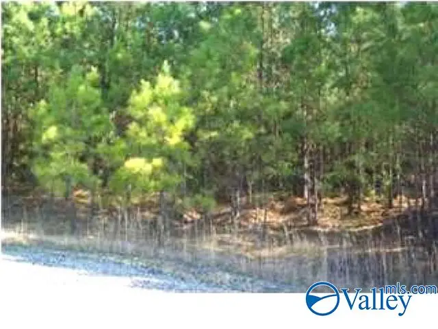 Tract 10 Maple Drive, Boaz, AL 35956 - Image #1