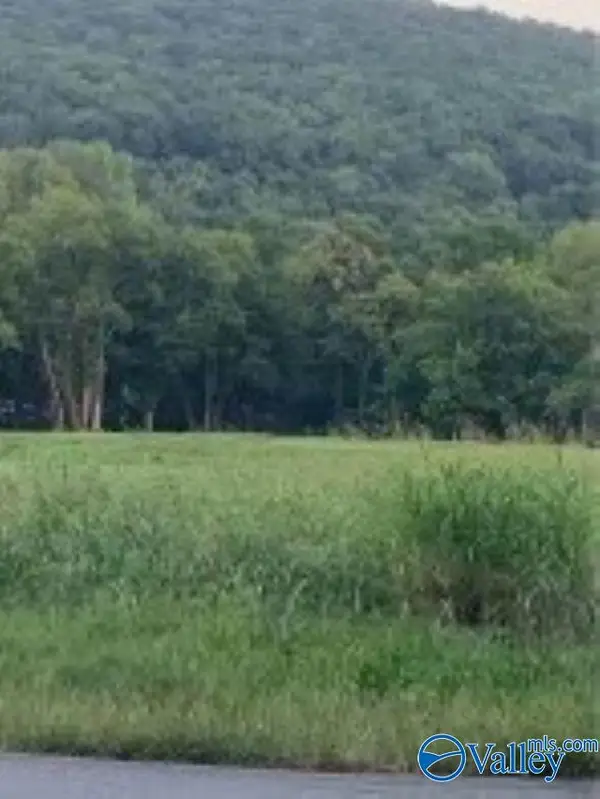 1144 Upper Hurricane Road, New Market, AL 35761