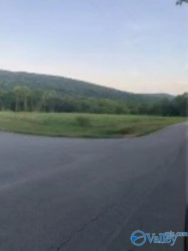 1144 Upper Hurricane Road, New Market, AL 35761 - Image #2