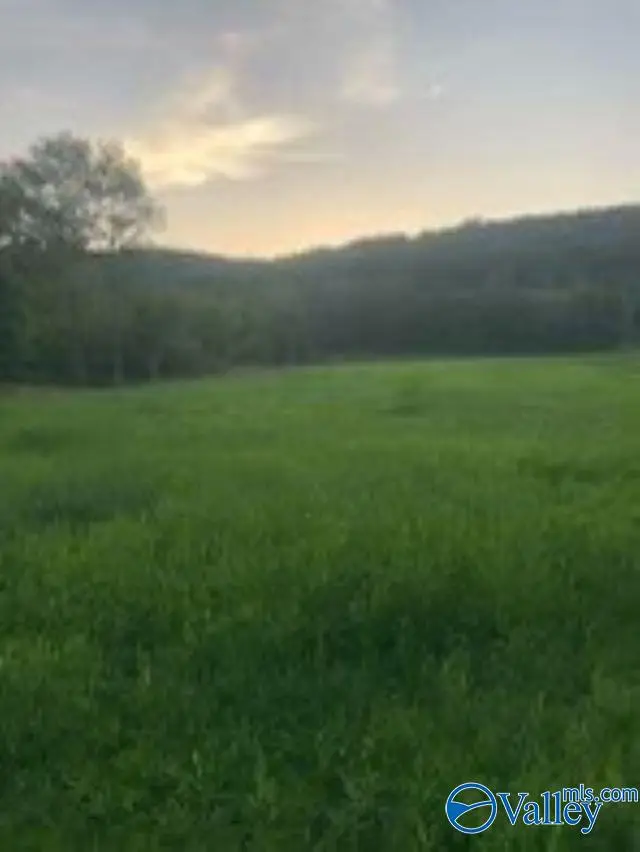 1144 Upper Hurricane Road, New Market, AL 35761 - Image #3