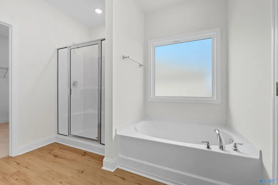 231 Jerrie Lynn Boulevard, Meridianville, AL 35759 - Image #3