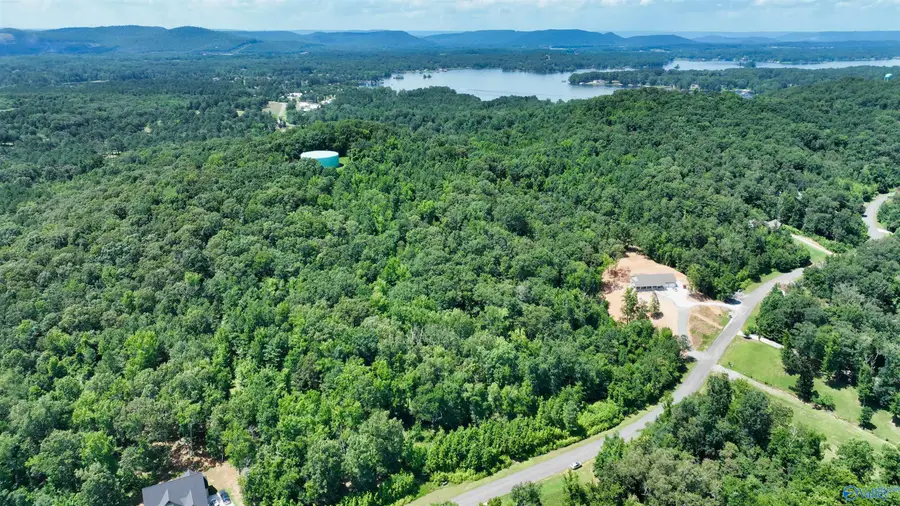 166 Lookout Mountain Drive, Scottsboro, AL 35769 - Image #2