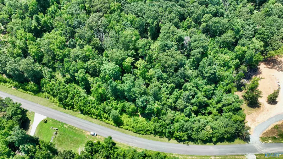 166 Lookout Mountain Drive, Scottsboro, AL 35769 - Image #3