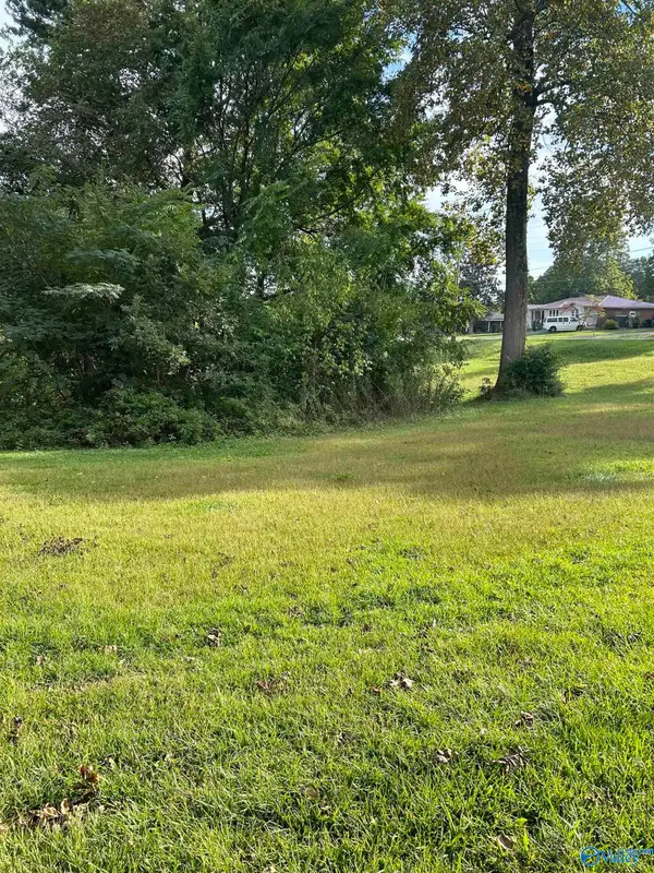 16-17-1 Jarmon Road, Guntersville, AL 35976