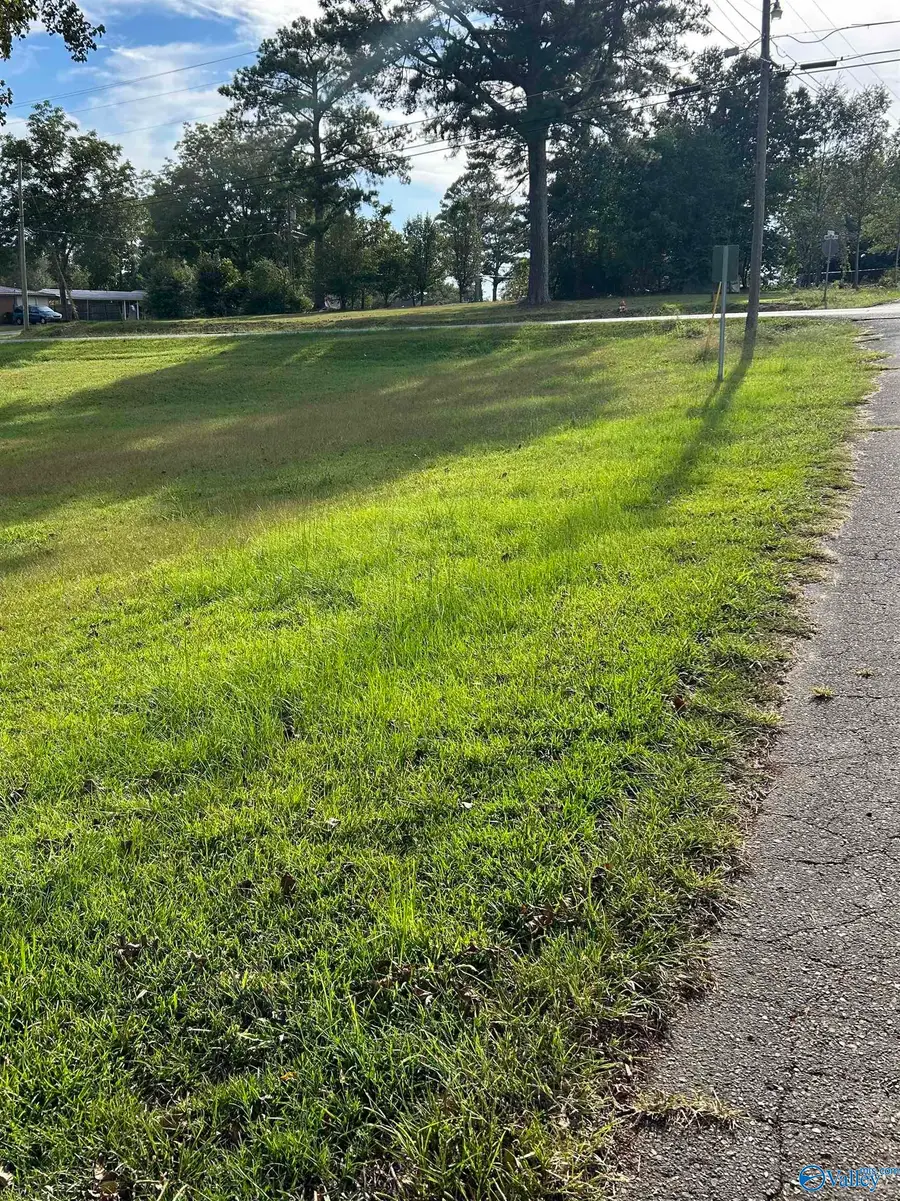 16-17-1 Jarmon Road, Guntersville, AL 35976 - Image #2