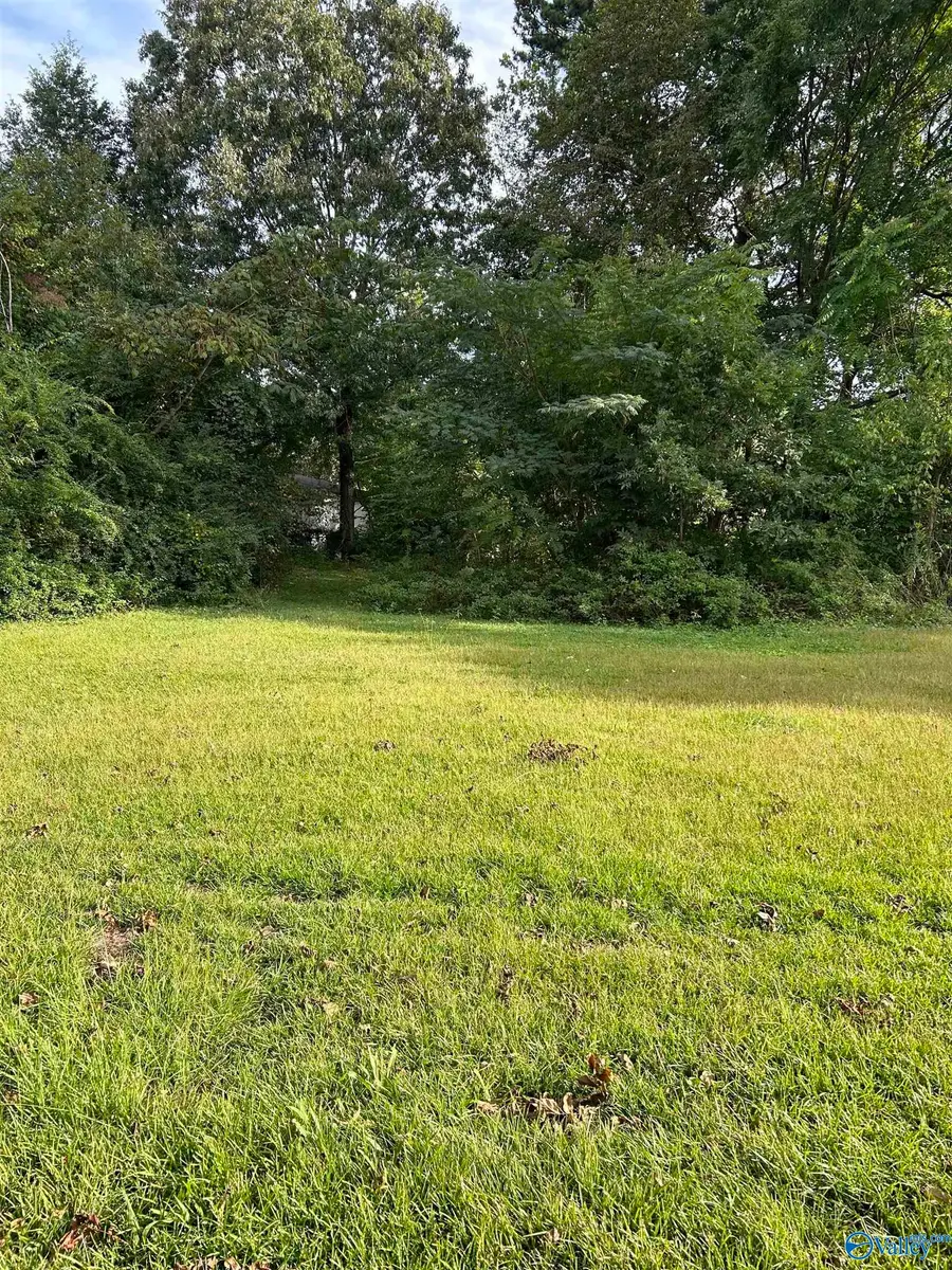 16-17-1 Jarmon Road, Guntersville, AL 35976 - Image #3