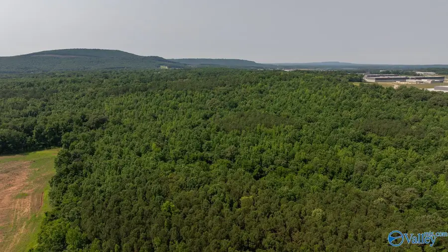 SEC 22 Monroe Road, Toney, AL 35773 - Image #2