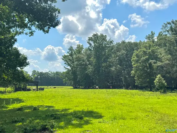 124 Acres County Road 170, Moulton, AL 35650