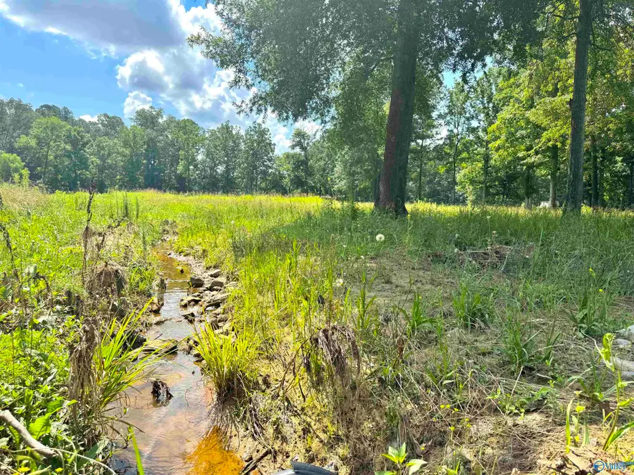 124 Acres County Road 170, Moulton, AL 35650 - Image #3