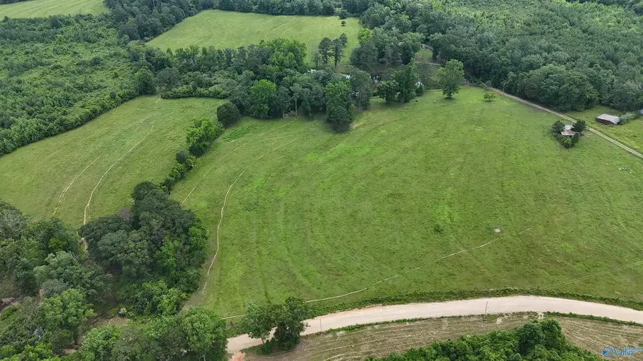 1149 County Road 865, Collinsville, AL 35961 - Image #3