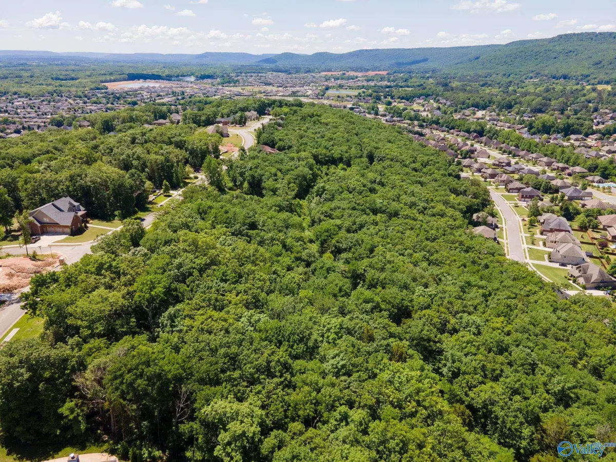 4631 Saddle Ridge Drive #LOT 8, Owens Cross Roads, AL 35763 - Image #1