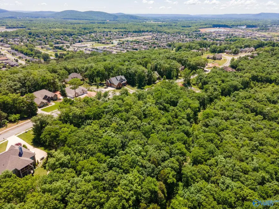 4631 Saddle Ridge Drive #LOT 8, Owens Cross Roads, AL 35763 - Image #3