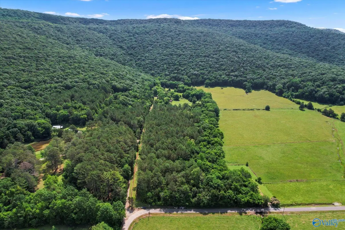 593 Sharps Hollow Road, New Market, AL 35761 - Image #1