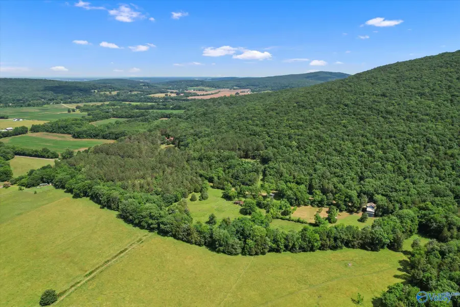 593 Sharps Hollow Road, New Market, AL 35761 - Image #2