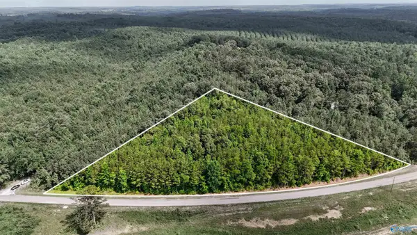 4.8 ACRES County Road 33, Hamilton, AL 35570