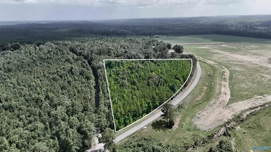 4.8 ACRES County Road 33, Hamilton, AL 35570 - Image #3