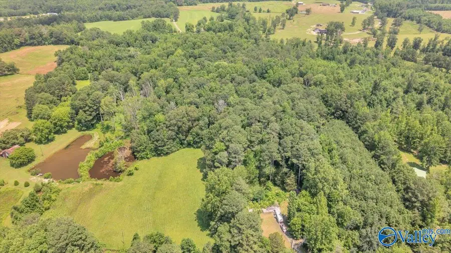 9.0 County Road 122, Fort Payne, AL 35968 - Image #2