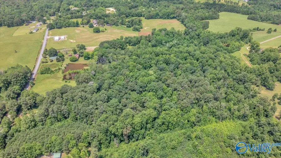 9.0 County Road 122, Fort Payne, AL 35968 - Image #3