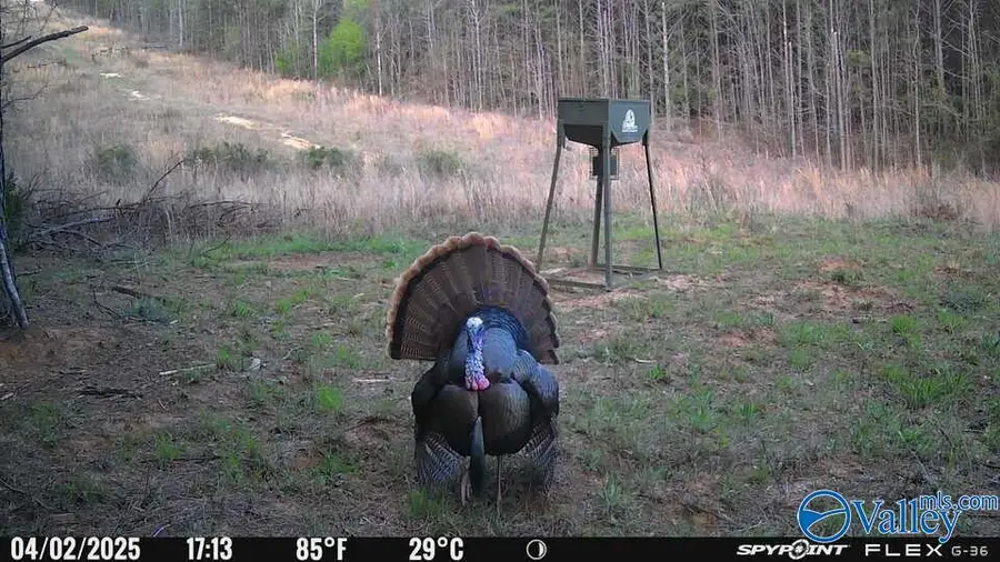 22 Acres Us Hwy 278, Piedmont, AL 36272 - Image #2