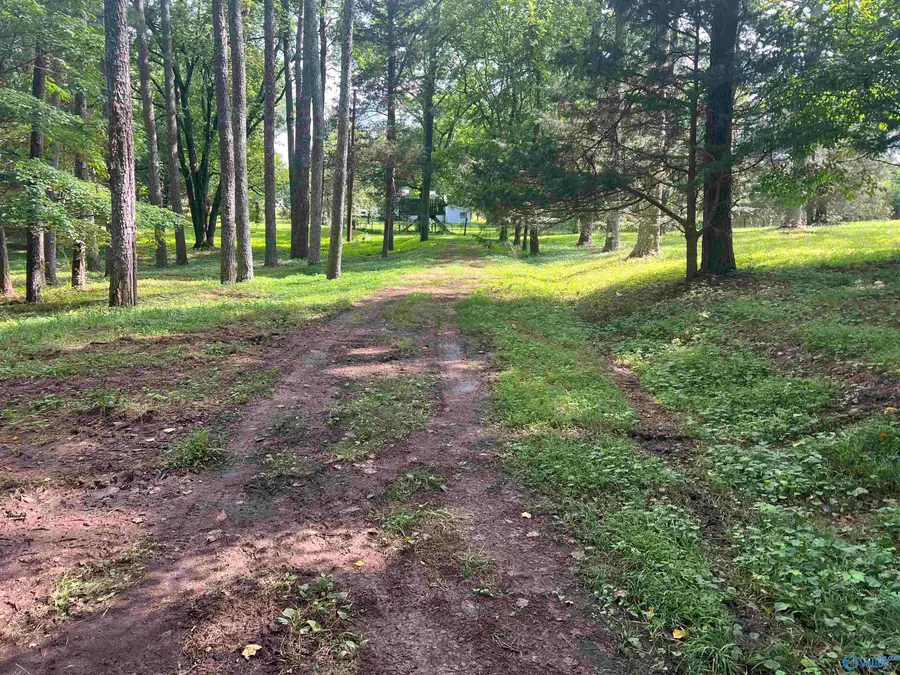 Lots 12 & 13 Denbo Circle, Harvest, AL 35749 - Image #2