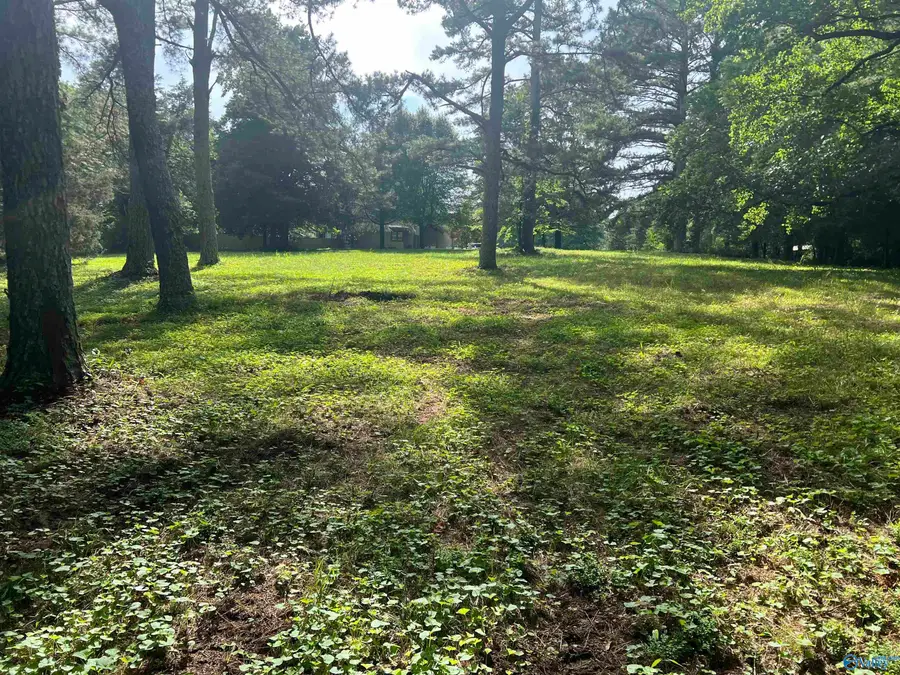 Lots 12 & 13 Denbo Circle, Harvest, AL 35749 - Image #3