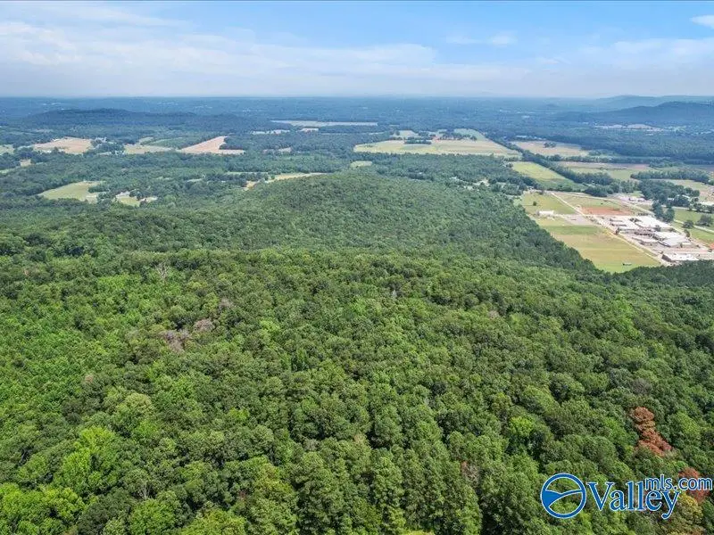 SITE 2A&2B S All Jersey Road, Somerville, AL 35670 - Image #2