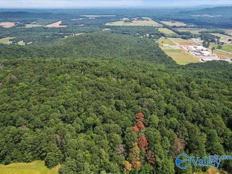 SITE 2A&2B S All Jersey Road, Somerville, AL 35670 - Image #3