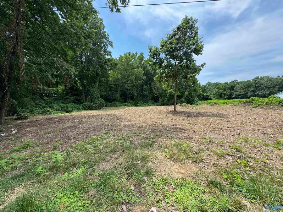 0.92 acre lot George Wallace Drive E, Rainsville, AL 35986 - Image #2