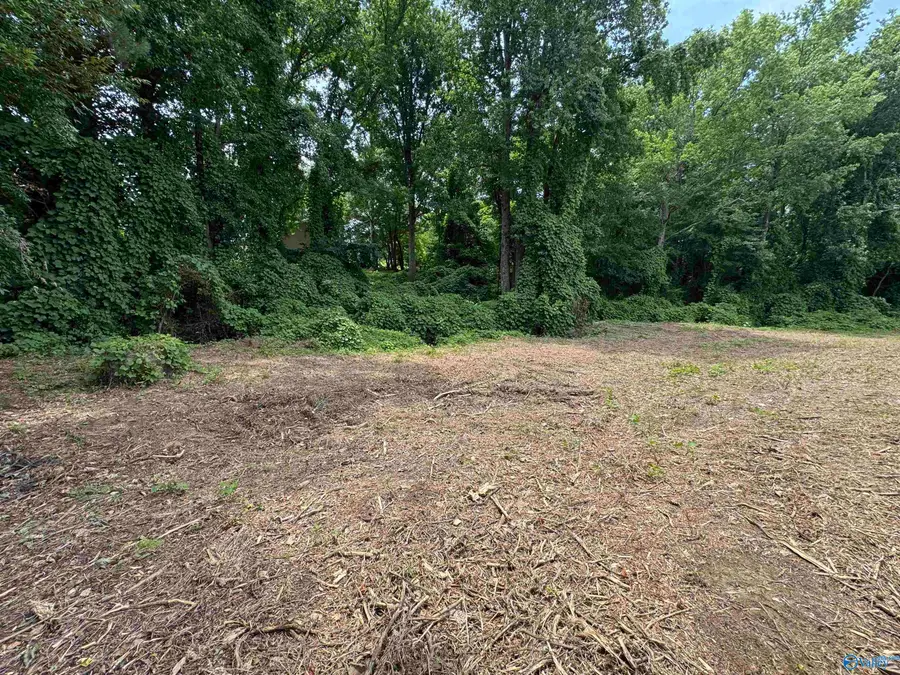 0.92 acre lot George Wallace Drive E, Rainsville, AL 35986 - Image #3