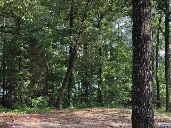 lot 6 County Road 448, Centre, AL 35960