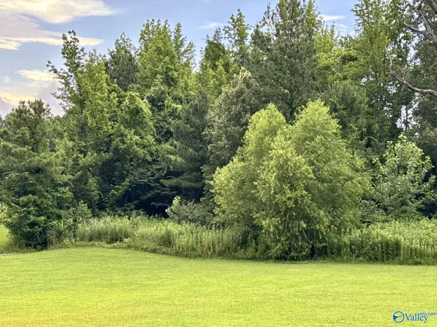 4250 Bennich Road, Decatur, AL 35603 - Image #2