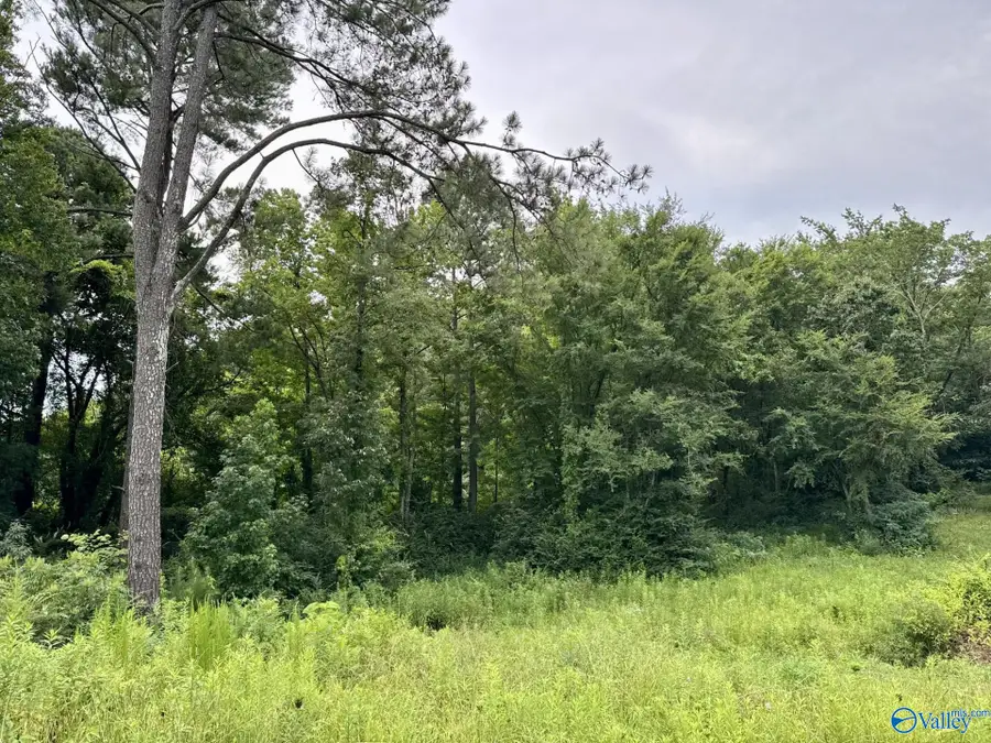 4250 Bennich Road, Decatur, AL 35603 - Image #3