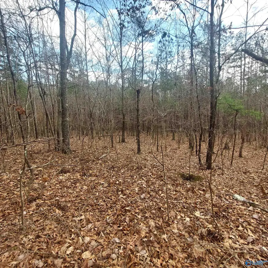 40.21 Acres County Road 239, Valley Head, AL 35989 - Image #2