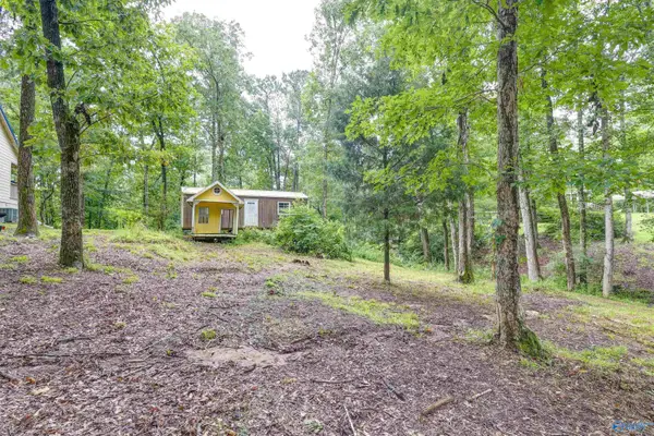 219 County Road 221, Arley, AL 35541