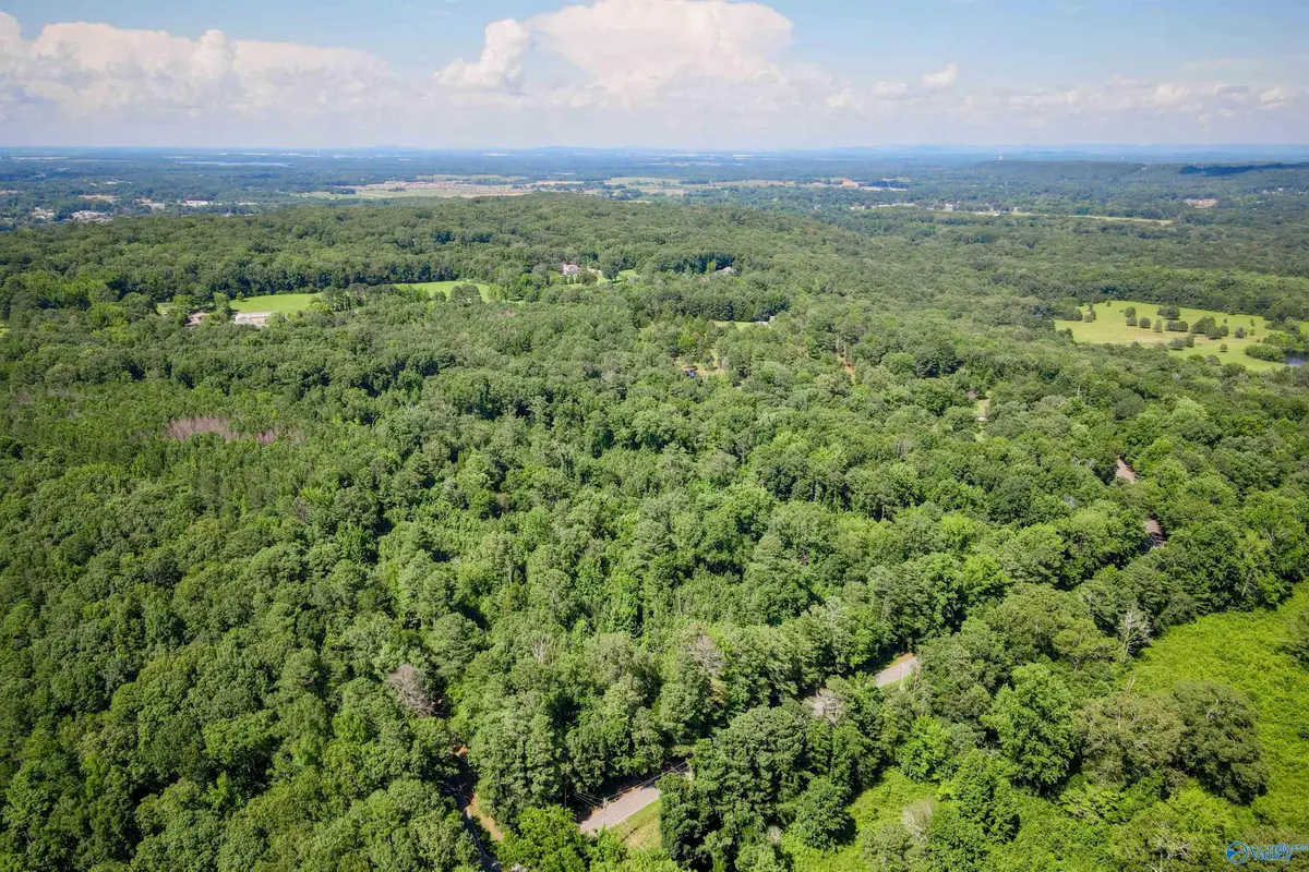 5 Acres Part B Willow Bend Road, Decatur, AL 35603 - Image #1