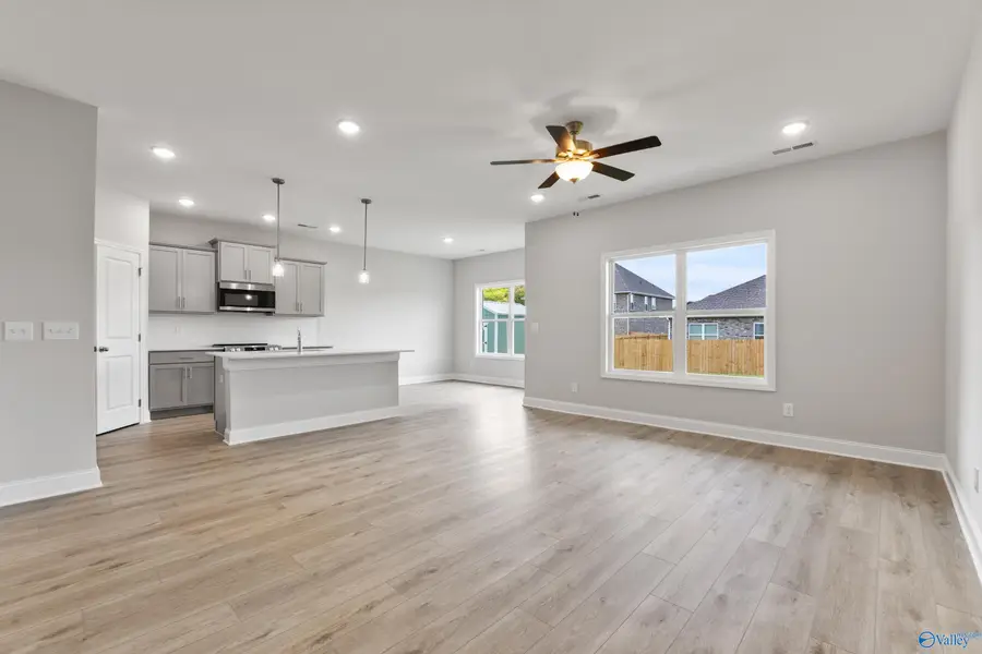 206 Pine Island Avenue, Toney, AL 35773 - Image #3