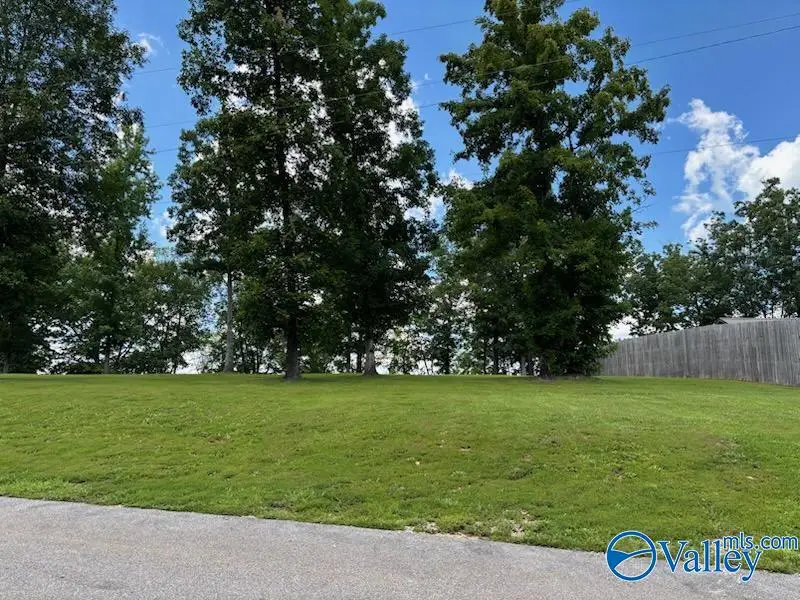 lot 5 Lillians Way, Rogersville, AL 35652 - Image #3