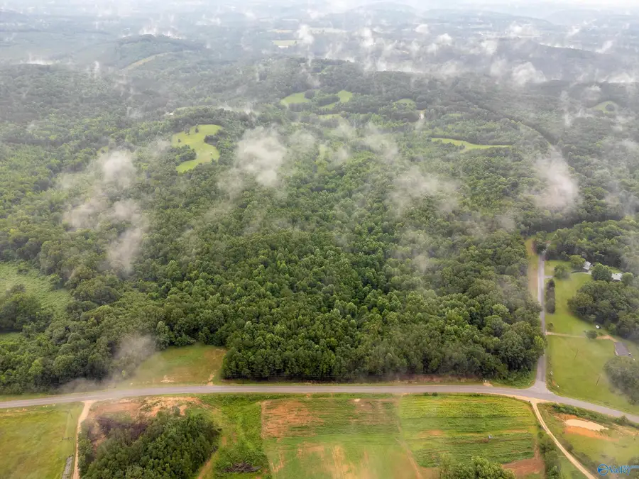 Lot #0 Waterloo Road, Tuscumbia, AL 35674 - Image #2