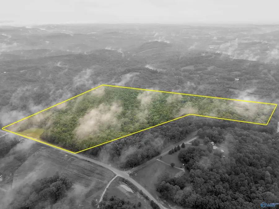 Lot #0 Waterloo Road, Tuscumbia, AL 35674 - Image #3