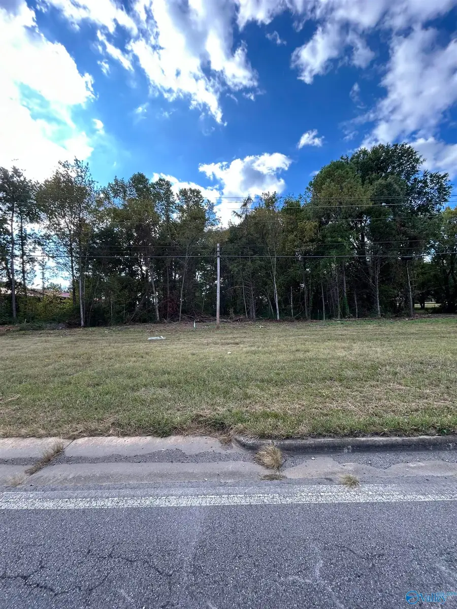 22-30 LOTS Us Highway 431, Guntersville, AL 35976 - Image #2