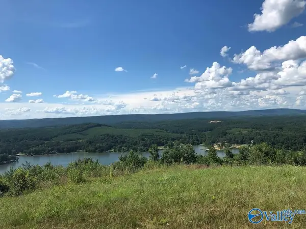 Lot 221 County Road 1022 #221, Cedar Bluff, AL 35959